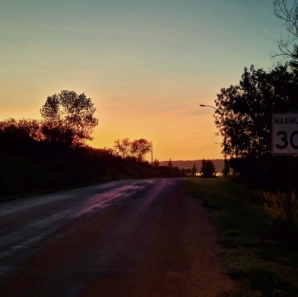 Meet your Posher, Zoe - Picture 1 of 1